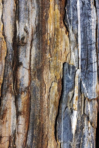 Haney, Chuck 아티스트의 Striated rock at Pemaquid Point-Maine-USA작품입니다.